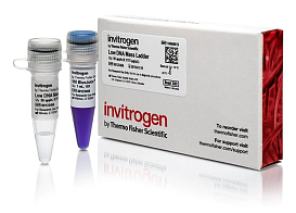 Маркер длин ДНК Low DNA Mass от 100 п.н. до 2000 п.н., 0,1175 мкг/мкл