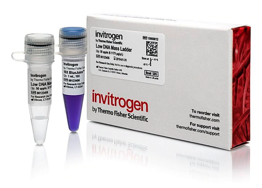 Маркер длин ДНК Low DNA Mass от 100 п.н. до 2000 п.н., 0,1175 мкг/мкл, Thermo FS Фото 2