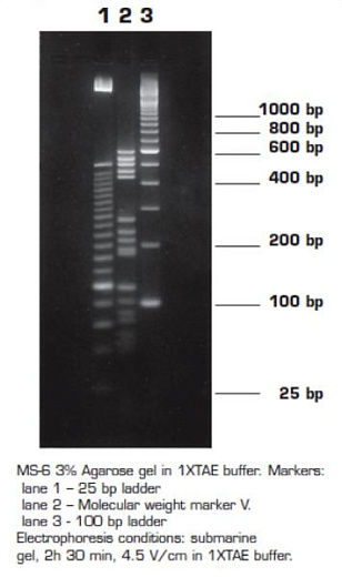 Агароза, низкий EEO, MS-6, Molecular Screening, повышенная четкость разделения фрагментов 150-750 п.н., Импорт Фото 1