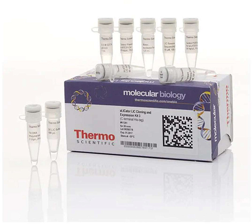 Набор для безлигазного клонирования aLICator LIC Cloning and Expression Kit 3, Thermo FS Фото 1